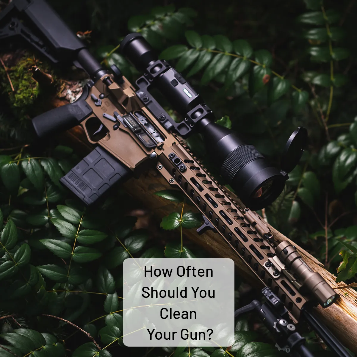 How Often Should You Clean Your Hunting Rifle