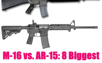 How Does the Ar-15 Differ from the M16?