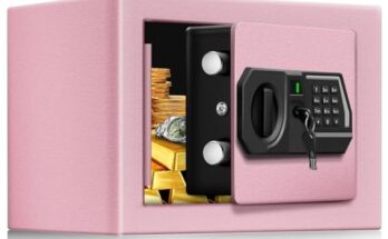 Cheapest Small Gun Safe