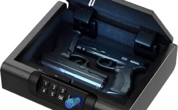 How Secure are Biometric Gun Safes?