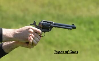 Types of guns