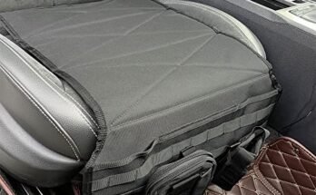 Best Gun Holster for Car