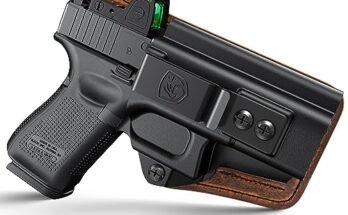 Best Iwb Holster for Glock 19