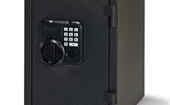 Best Pistol Safe