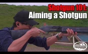 How to Aim a Shotgun for Beginners