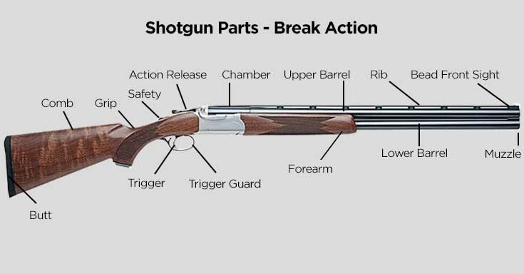 Parts of a Double-Barrel Shotgun