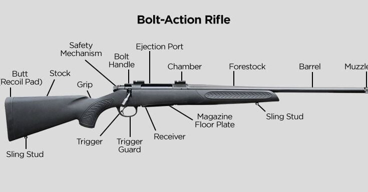 Parts of a Rifle