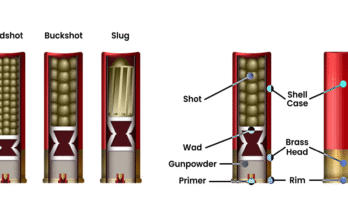 Types of Shotgun Shells