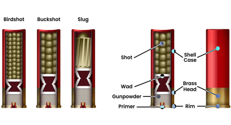 Types of Shotgun Shells