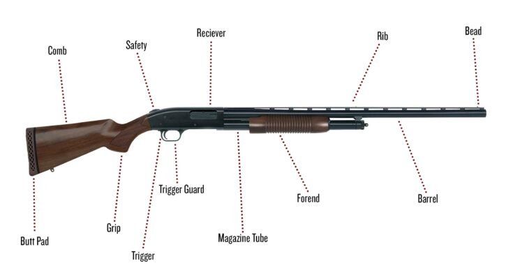 What are the Components of a Shotgun?