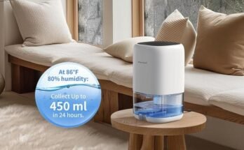 Where Should I Place a Dehumidifier in a Room