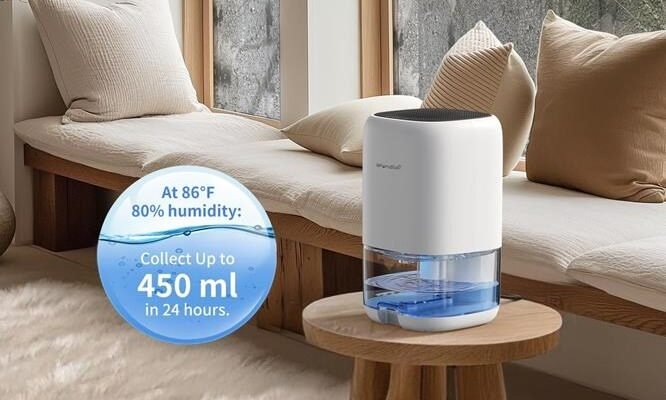 Where Should I Place a Dehumidifier in a Room