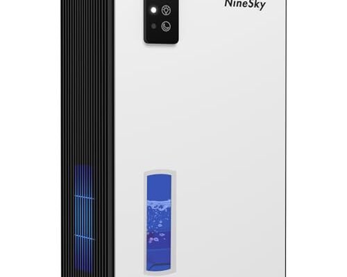Best Dehumidifier for Bedroom