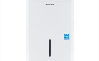 Best Dehumidifier for Drying Laundry