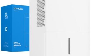 Best Dehumidifier for Large Basement