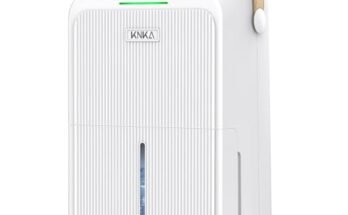Best Small Dehumidifier for Drying Clothes