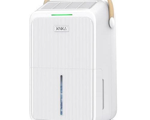 Best Small Dehumidifier for Drying Clothes