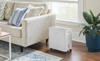 How to Choose the Right Size Dehumidifier?