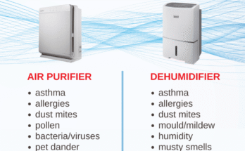 What is the Difference between a Dehumidifier And an Air Purifier?
