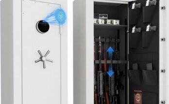 What Happens If the Biometric Scanner Fails