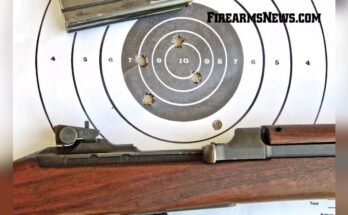 Are Carbines Accurate?