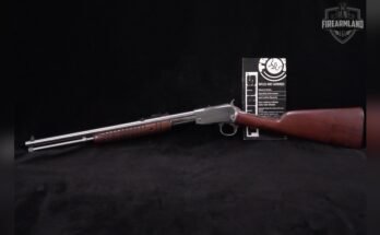 Are Carbines Good for Beginners?