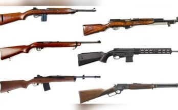 Are Carbines Legal in Most States?