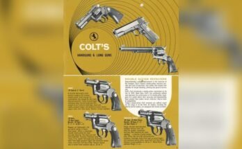 Are Fixed Cylinder Revolvers Good for Concealed Carry?