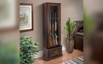 Are Glass-Door Gun Cabinets Safe
