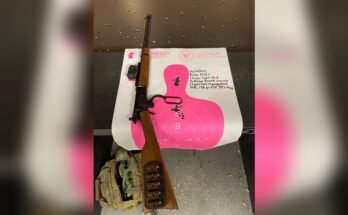 Are Lever-Action Rifles Legal in Most States?