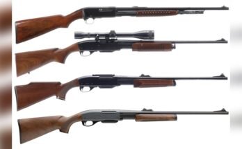 Are Pump-Action Rifles Good for Hunting?