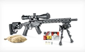 Are Rimfire Rifles Accurate?