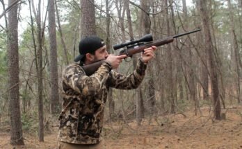 Are Rimfire Rifles Good for Hunting Small Game?