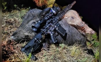 Are Semi-Automatic Rifles Good for Hunting?
