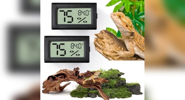 Best Hygrometer for Reptile Tanks