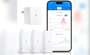 Best Smart Hygrometer for Home Monitoring