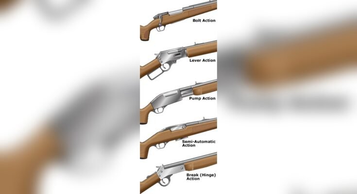 Break-Action Rifle Vs Bolt-Action Rifle