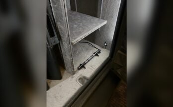 Do Long Gun Safes Require a Dehumidifier?