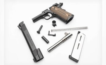 How Do You Clean And Maintain a Revolver?