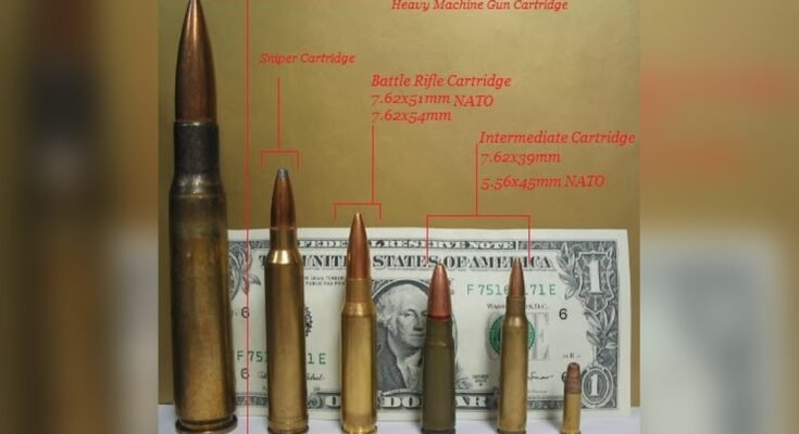 How Does a Battle Rifle Differ from an Assault Rifle?