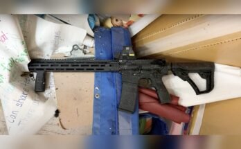 How Powerful is a Battle Rifle Compared to Other Rifles?