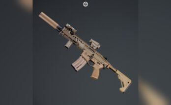 What Accessories Work Best on a Carbine?