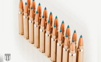 What Ammo is Best for Sniper Rifles?