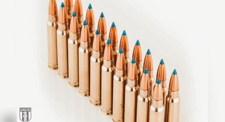 What Ammo is Best for Sniper Rifles?