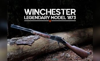 What are Popular Centerfire Rifle Models?