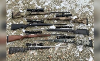 What are the Best Bolt-Action Rifle Brands?