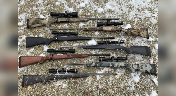 What are the Best Bolt-Action Rifle Brands?