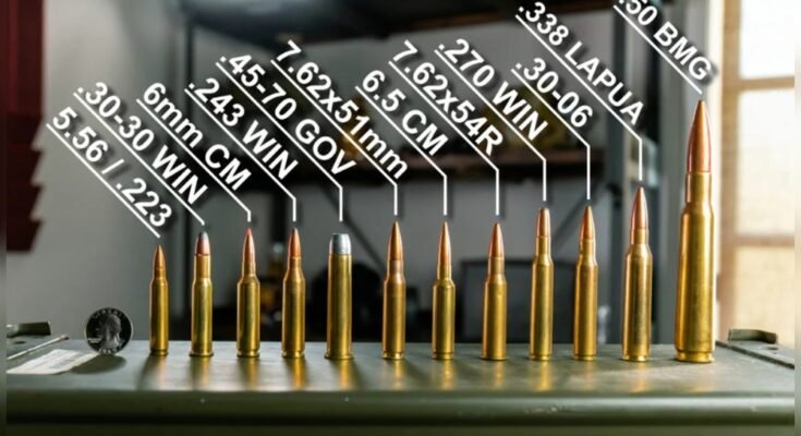 What Calibers Do Bolt-Action Rifles Come In?