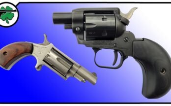 What is a Fixed Cylinder Revolver?