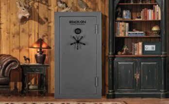 What is the Best Gun Cabinet for Home Use